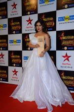 Bhumi Pednekar at Big Star Awards in Mumbai on 13th Dec 2015